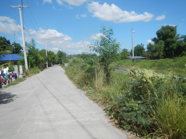 Kleider hängen zum Trocknen an einer asphaltierten Straße, umgeben von Vegetation, Strommasten und einem Schuppen unter einem bewölkten Himmel.