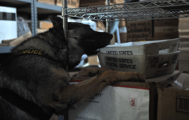 Polizeihund auf einem Stapel Kisten in einem Lagerhaus liegend, umgeben von Kartonagen auf Regalen.