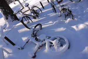 Eine Reihe von Fahrrädern, teilweise mit Schnee bedeckt, mit einem Baumstamm und Straße daneben.