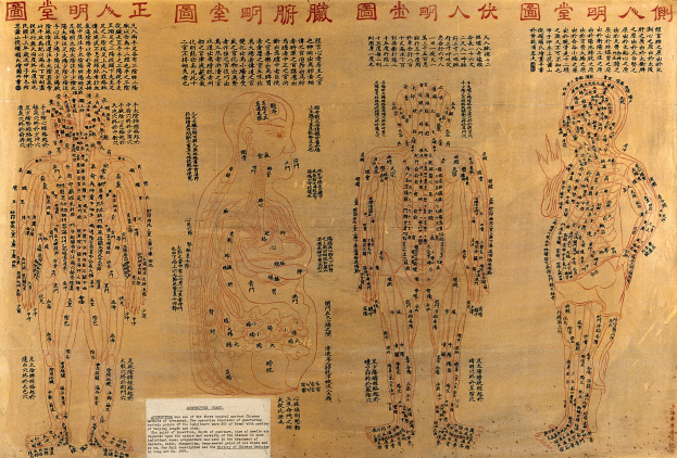 Ein altes Buch mit chinesischer Schrift und Diagrammen des menschlichen Körpers, das Akupunkturpunkte und ihre Bedeutungen beschreibt.