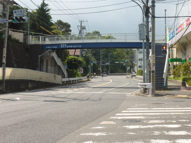 Stadtstraße mit einer Fußgängerbrücke darüber, Fahrzeuge auf der Straße, Strommasten und -leitungen, Verkehrszeichen, Schilder, Gebäude mit Fenstern, Bäume, Pflanzen und Himmel im Hintergrund.