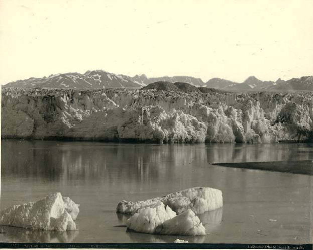 Ein Schwarz-Weiß-Foto von Eisbergen, die in einem Gewässer schwimmen, mit Bergen im Hintergrund und einem klaren Himmel öber ihnen, mit Text unten.