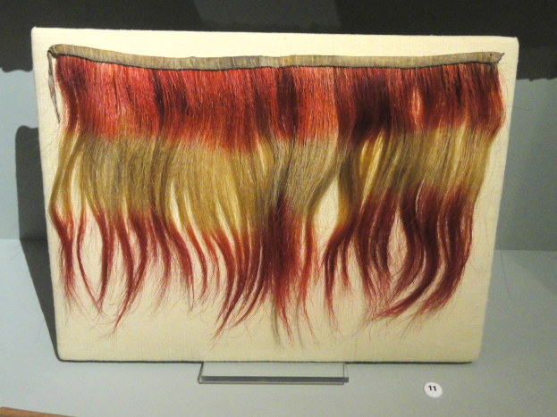 Nahaufnahme einer leuchtenden, bunt gemusterten Haarprobe auf einem Brett in einem Museum.