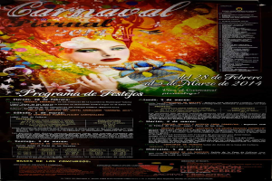 Eine Frau in einem bunten Kleid, die lächelt, umgeben von schwarzem Text, der "Carnaval Festival 2014" auf einem leuchtend gelben Hintergrund liest.