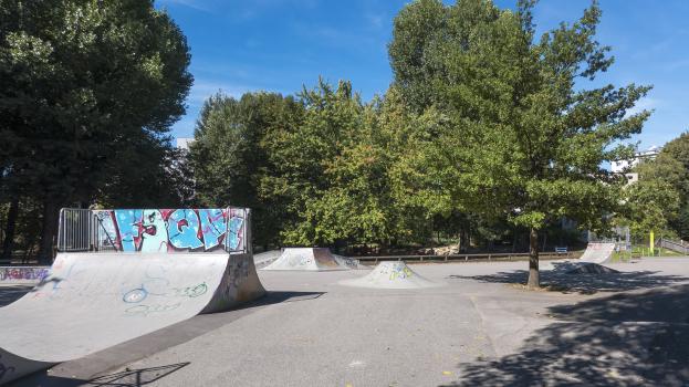 Eine Skate-Anlage mit Graffiti-überzogenen Rampen, umgeben von Bäumen und Gebäuden unter einem bewölkten Himmel.