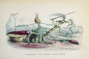 Ein Buchumschlag mit einem Mann in dunklem Mantel und Hut sowie einer Frau in Schürze und Kleid, beide in Kampfstellung mit entschlossener Miene, mit der Aufschrift "Combat deux raffines".