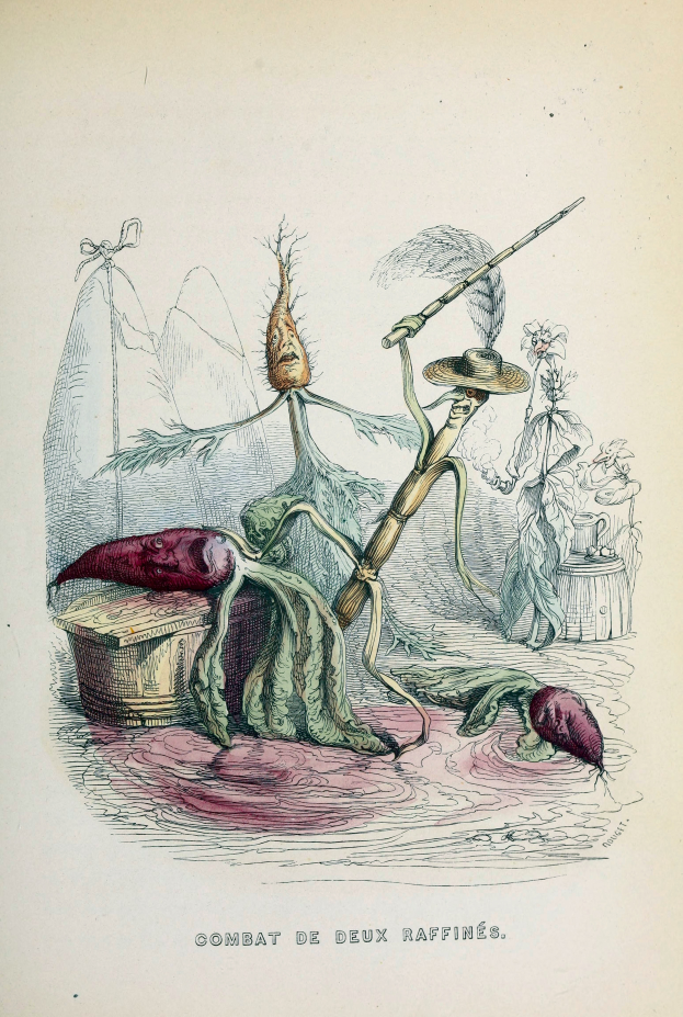 Ein Buchumschlag mit einem Mann in dunklem Mantel und Hut sowie einer Frau in Schürze und Kleid, beide in Kampfstellung mit entschlossener Miene, mit der Aufschrift "Combat deux raffines".