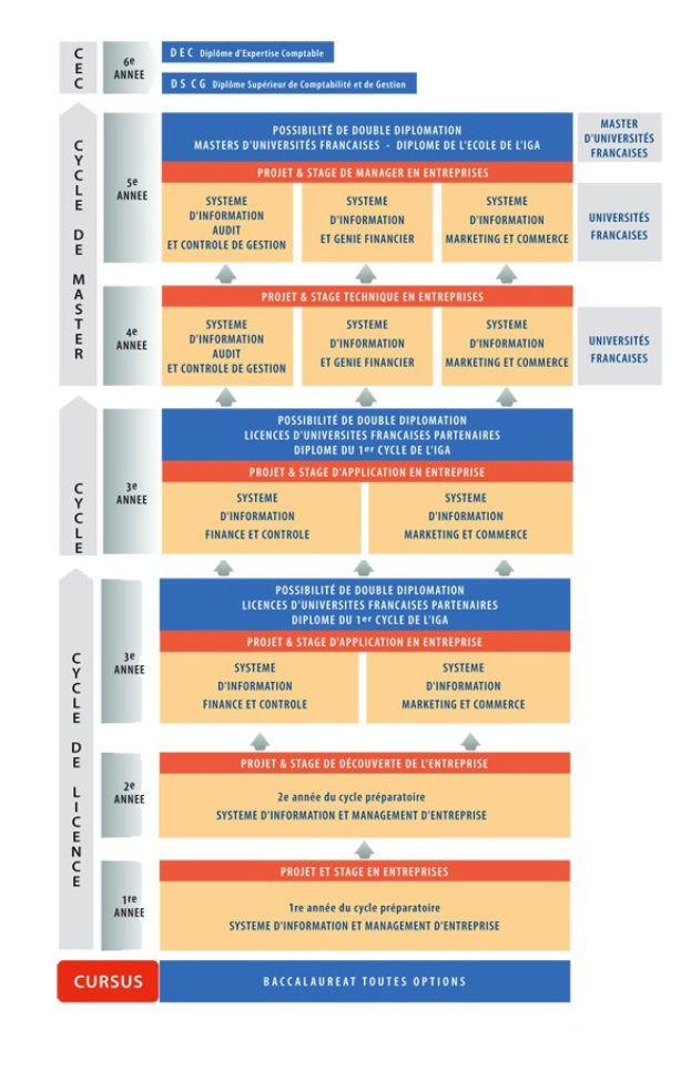 Diagramm, das die organisatorische Struktur eines Unternehmens mit miteinander verbundenen Kästchen darstellt, die verschiedene Phasen des Geschäfts growths und der Entwicklung darstellen, jeweils mit Text, der Rollen und Verantwortlichkeiten beschreibt.