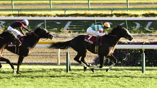 Zwei Jockeys auf Pferden auf einer grünen Bahn mit floraler Umgebung, einer Absperrung und einer Texttafel im Hintergrund.