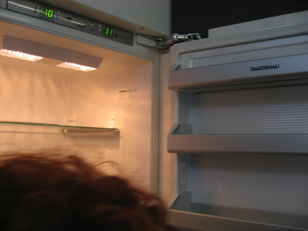 Eine Person mit offenem Kühlschrank im Hintergrund.