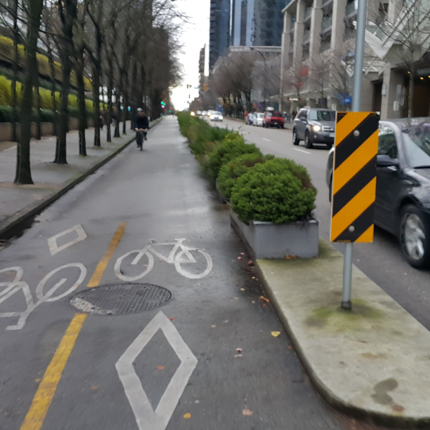 Eine Person fährt ein Fahrrad auf einer Straße mit Autos rechts, kleinen Pflanzen in der Mitte, Bäumen links und Gebäuden weiter rechts.