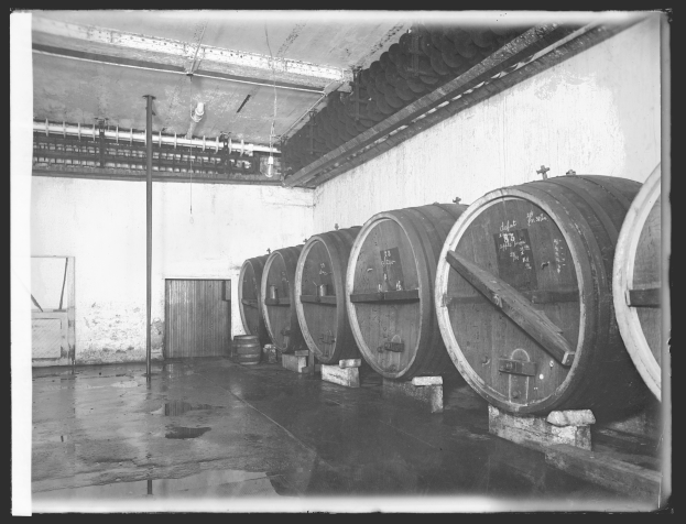 Ein Schwarz-Weiß-Foto eines Weinkellers mit mehreren Weinfaßreihen auf dem Boden, eine Wand im Hintergrund, eine Tür an der Seite und eine Decke mit Rohren darüber.