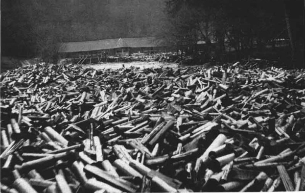 Ein Schwarz-Weiß-Foto eines großen Haufens von Kugeln im Vordergrund, mit einer Hütte und Bäumen im Hintergrund; der Text unten lautet "Zweiter Weltkrieg".