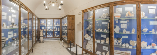 Ein Museumsraum mit Glasvitrinen, die verschiedene Gegenstände enthalten, Papieren an den Glaswänden, einem hängenden Kronleuchter und einer Statue im Hintergrund.