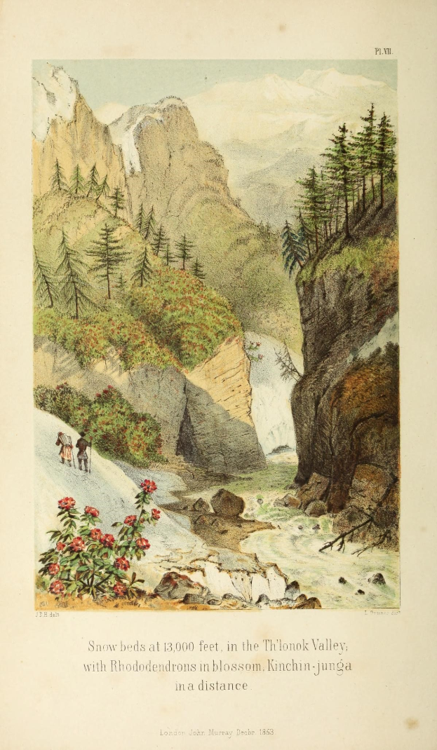Ein Buchumschlag mit einer Bergszene mit Schneebetten, blühenden Rhododendren, Hügeln, Bäumen, Pflanzen, Blumen, Menschen und einem Himmel, mit Text unten.