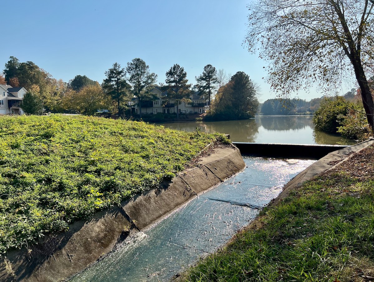 Kleiner Bach, der durch eine grüne Wiese neben einem Gewässer fließt, mit Bäumen und Pflanzen auf beiden Seiten und Gebäuden im Hintergrund unter einem klaren blauen Himmel.